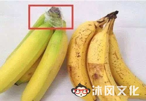 图片[18]-20个聪明的日常生活小技巧，简单又实用！ -沐风文化