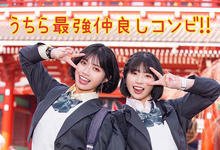 MIDV-154 最乱修学旅行!短发巨乳「石原希望 x 葵いぶき」梦幻共演!-沐风文化