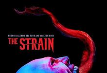 2014-2017美剧《血族S01 ~S04》全集 HD1080P 迅雷下载-沐风文化