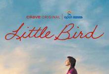 2023《Little Bird第一季》美国都市情感 更新至第3集/共6集 迅雷磁力网盘下载-沐风文化