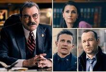 2022《警察世家第十三季》美国犯罪历史 本季终/共21集 迅雷磁力网盘下载-沐风文化